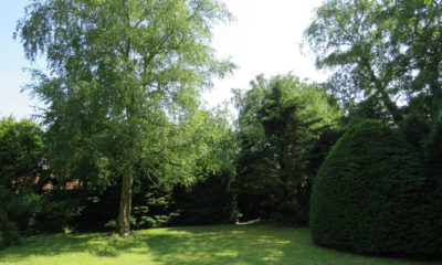 Gartenansicht II (Einfamilienhaus, Norden-Süderneuland I)